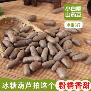 新鲜小白嘴山药豆糖葫芦专用特大长果批发辅食零余子铁棍豆山药蛋