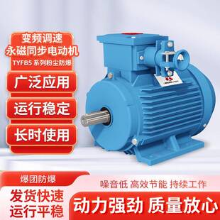 TYFB5系列粉尘防爆变频调速永磁同步电动机水泵风机机床机械电机