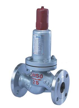 厂家直销平行式安全回流阀AHN42F-P18C铸钢法兰安全阀DN502580