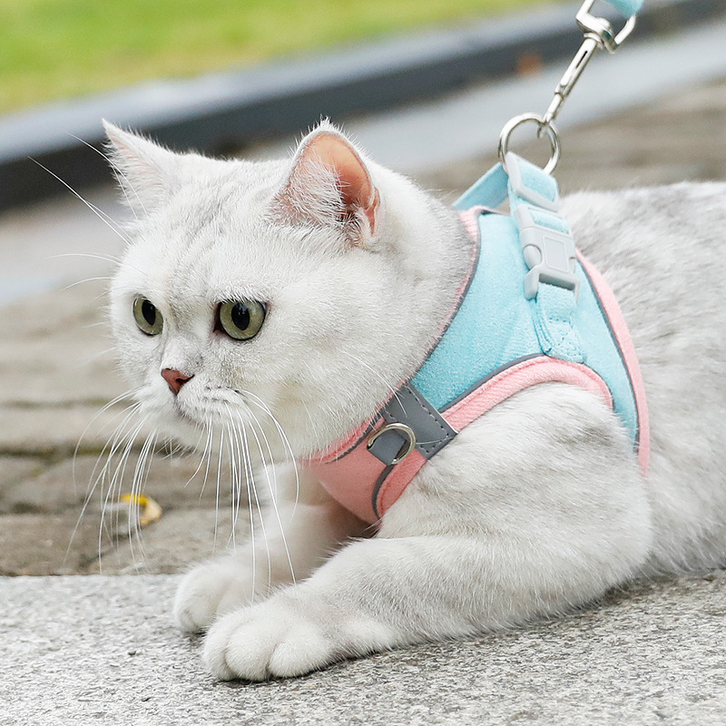 宠物胸背带小型犬背心式狗狗牵引绳遛狗绳子猫咪用品透气反光