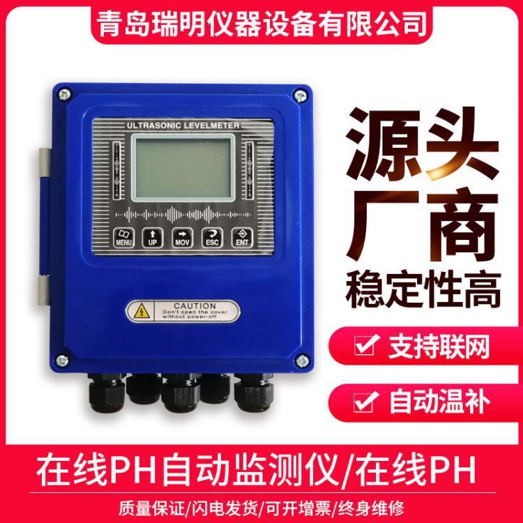 在线PH计/ORP计工业污水废水酸度测试仪瑞明反渗透