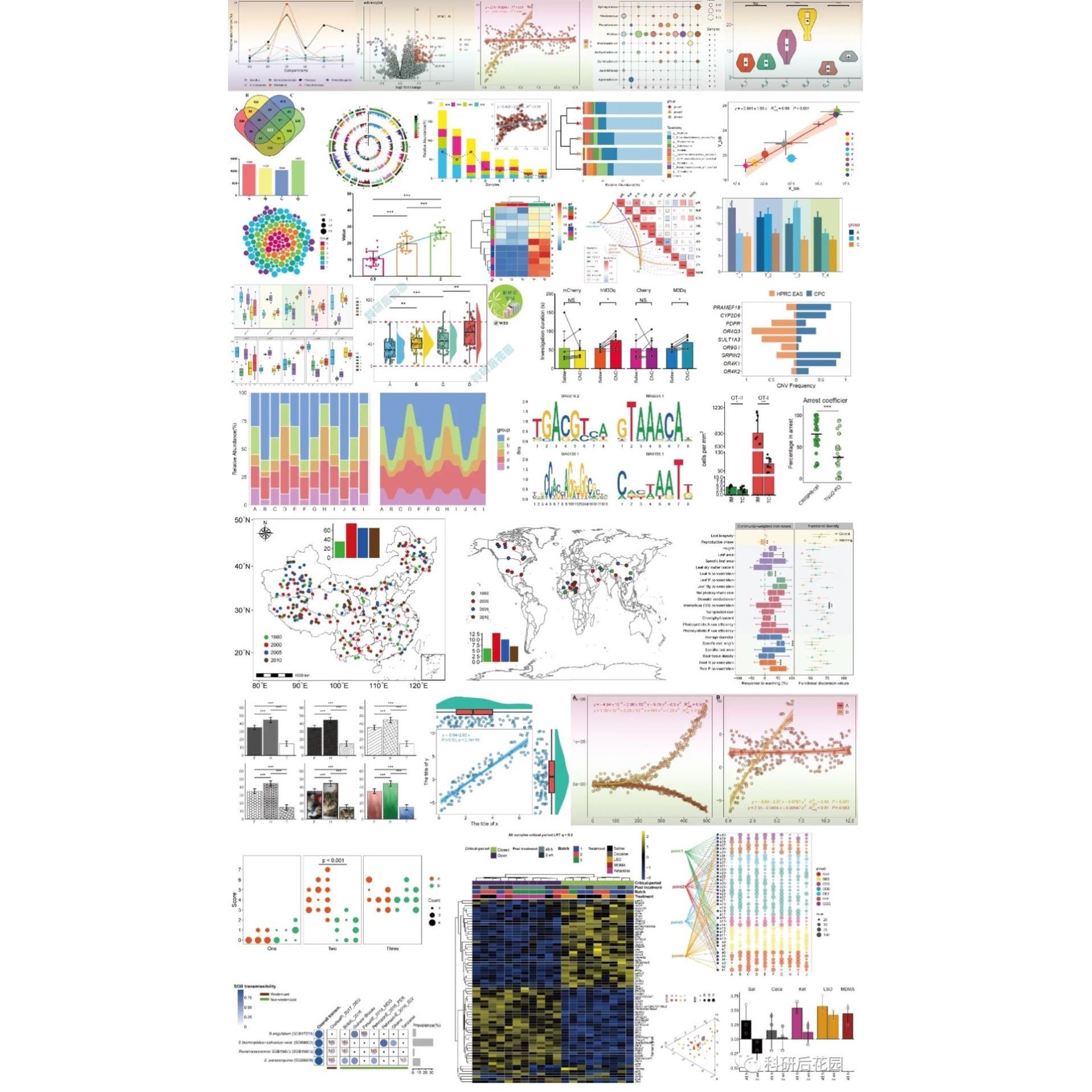 R语言统计分析 远程代码指导 数据挖掘