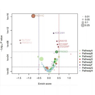 生信SCI文章 多组学 数据挖掘 专业 单细胞转录组
