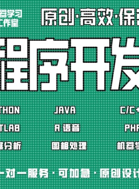 计算机python代编java程序代做c/c++代码编写c#设计开发r语言代写