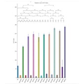 生信分析SCI服务 16s转录组基因组分析 R语言单细胞测序数据