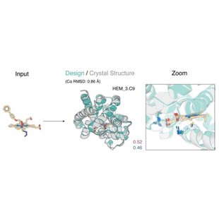 蛋白质相互作用分析-蛋白质复合体预测