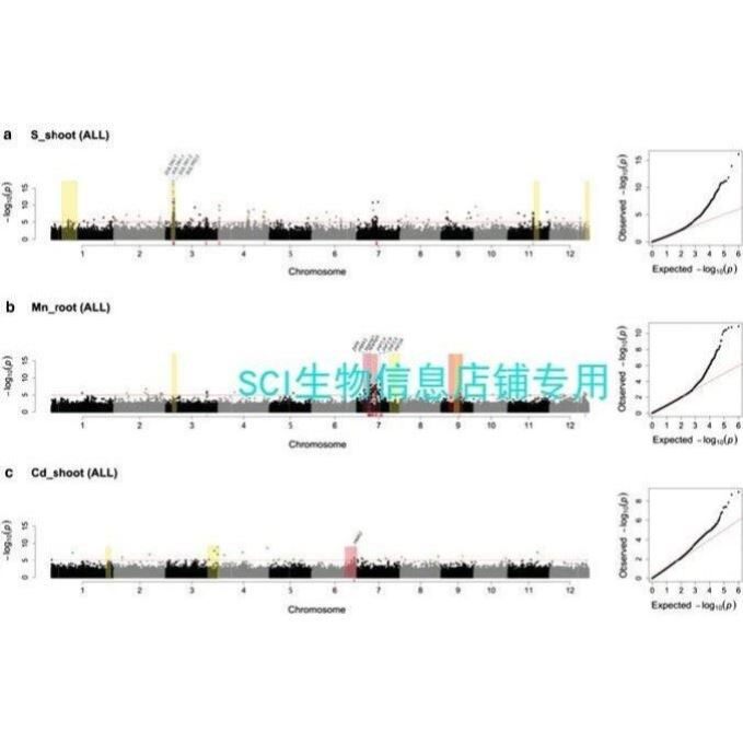BSA数据分析/基因单倍型分析/QTL定位分析/定位区间数据提取