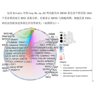 cytoscape作图GO KEGG富集PPI网络生信分析