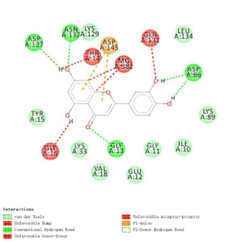 模拟计算 分子模拟 分子动力学模拟 MD Gromacs/lammps/amber