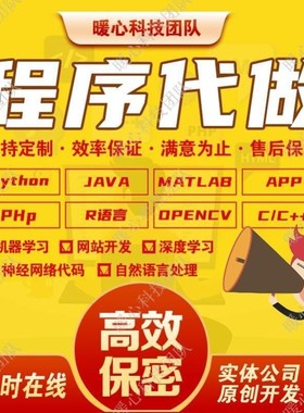 计算机java代码编写python代编程序c/c++代做qt接单web系统设计c#
