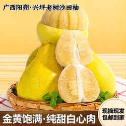 广西正宗阳朔兴坪老树沙田柚金黄柚子新鲜水果现摘纯甜白心肉包邮