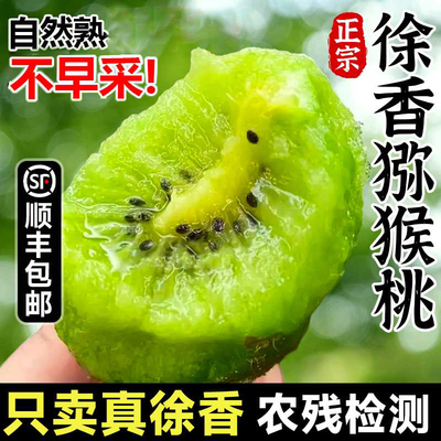 【农残检测】正宗徐香猕猴桃