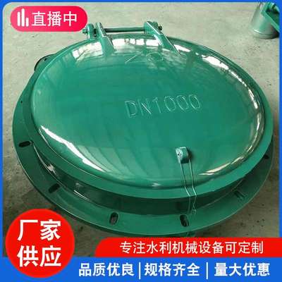 玻璃钢拍门 不锈钢侧翻上开拍门浮箱圆形拍门 防倒灌拍门钢制拍门