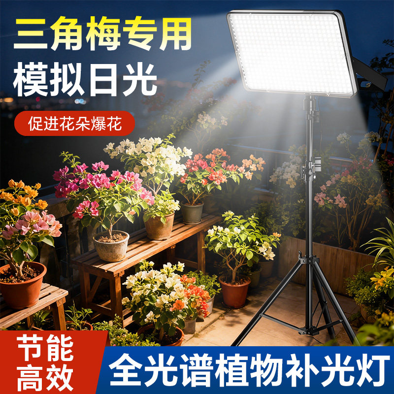 【植物生长专用】补光灯图片