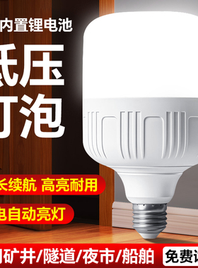 停电即亮36V低压应急灯IP65防水超长续航户外夜宵摆摊专用LED灯泡