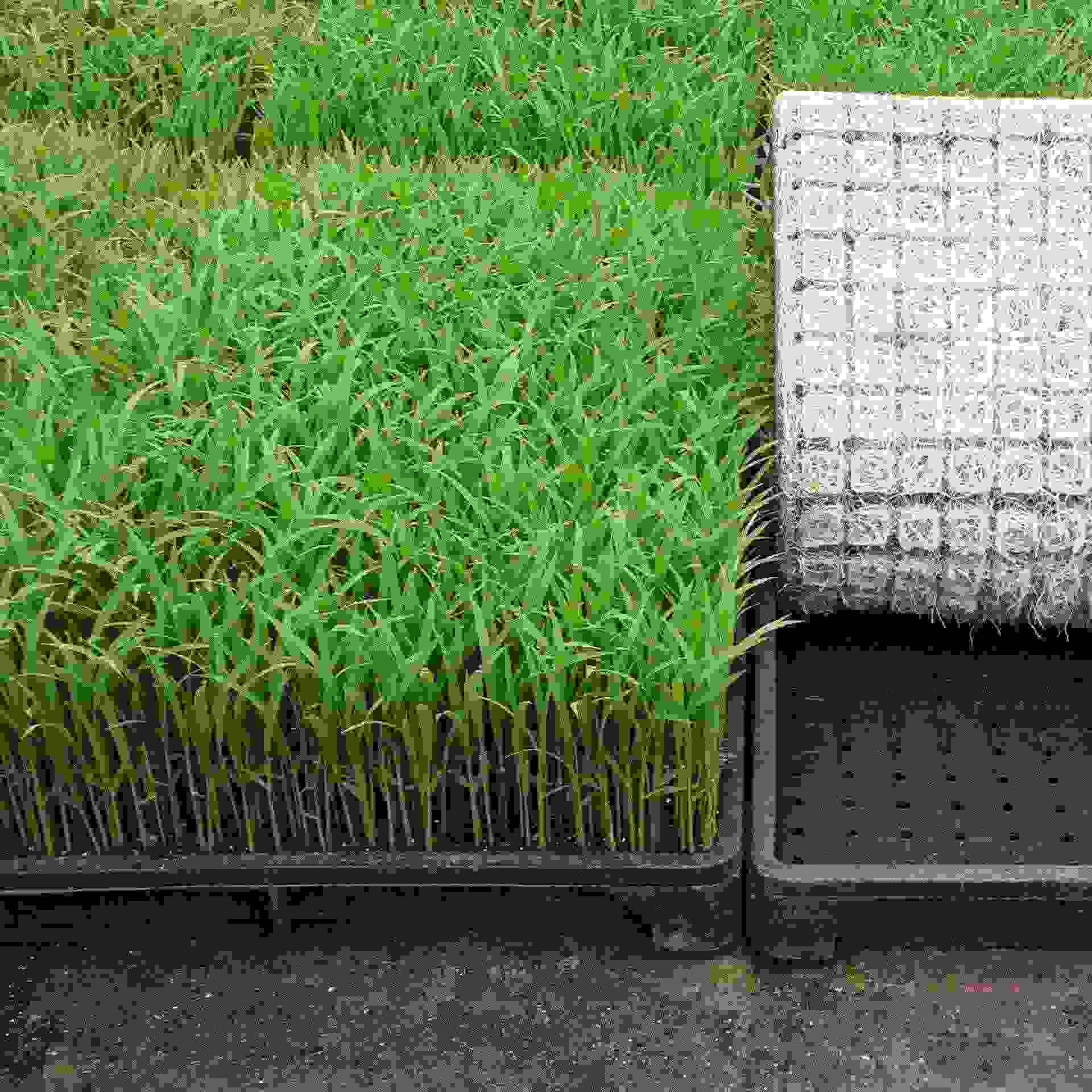 1通用型营养土蔬菜多肉草莓养花种菜栽培绿化育苗基质