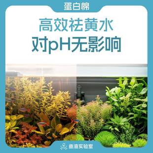 鱼渣实验室蛋白棉滤材水族鱼缸专用过滤材料除腥臭去黄水净水神器