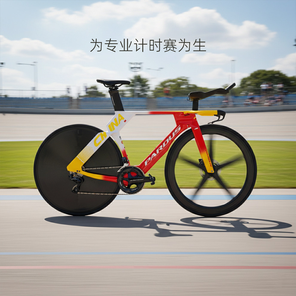 绿源奥运涂装戈梅拉GOMERA EVO DURA ACE Di2自行车TT公路车
