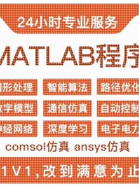 matlab程序画图代做代编代写帮做Python问题解决代码复现讲解绘