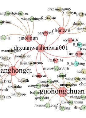 社会网络分析 代做 可视化 做图 复杂网络 Python Ucinet Gephi
