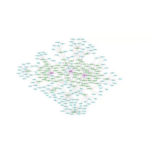 医学生信分析 单细胞测序生信3-5思路 TCGA数据库挖掘KEGG,GO分析