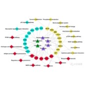 生信自学可成药基因孟德尓随机化分析MR共定位分子对接服务