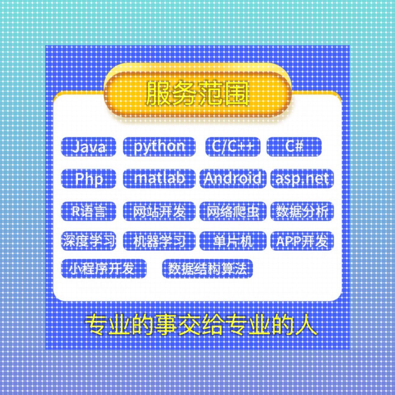 计算机程序编程JAVA专业JSP网站系统VUE定制小程序C#开发安卓
