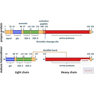生信分析1 GEO数据库挖掘 5分单细胞测序套餐TCGA