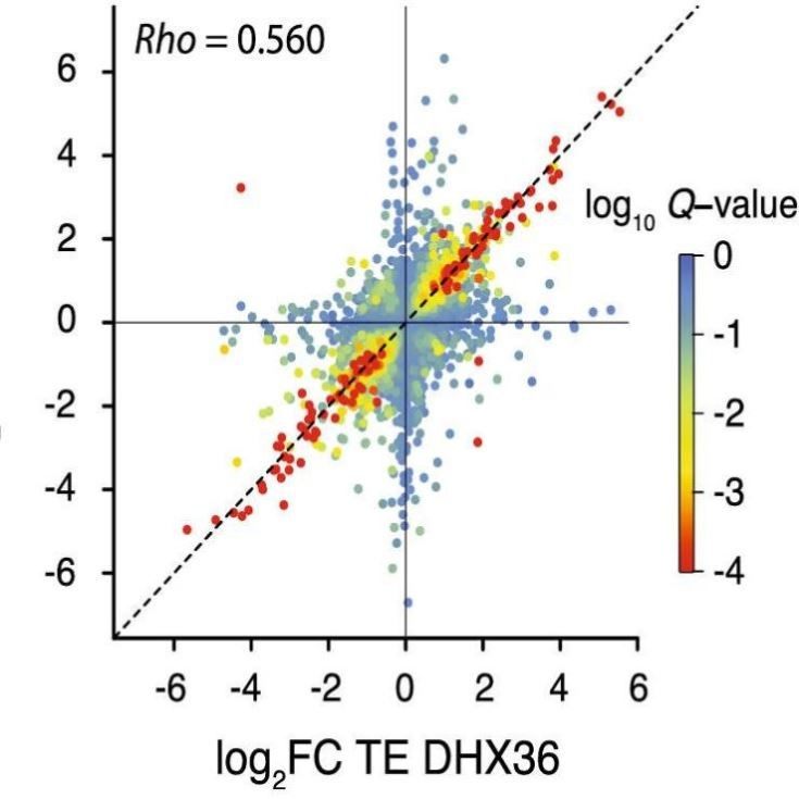 医学生信分析单细胞测序转录组TCGA GEO数据库挖掘分析服务