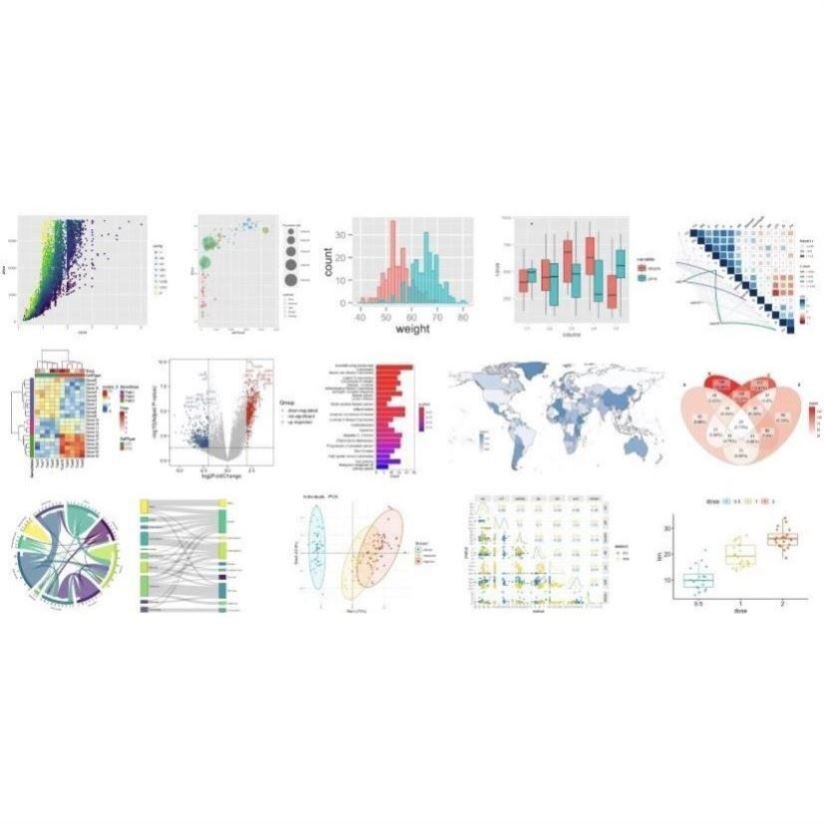 生信分析单细胞测序服务 2-9 分定制 TCGA GEO KEGG 数据库挖掘