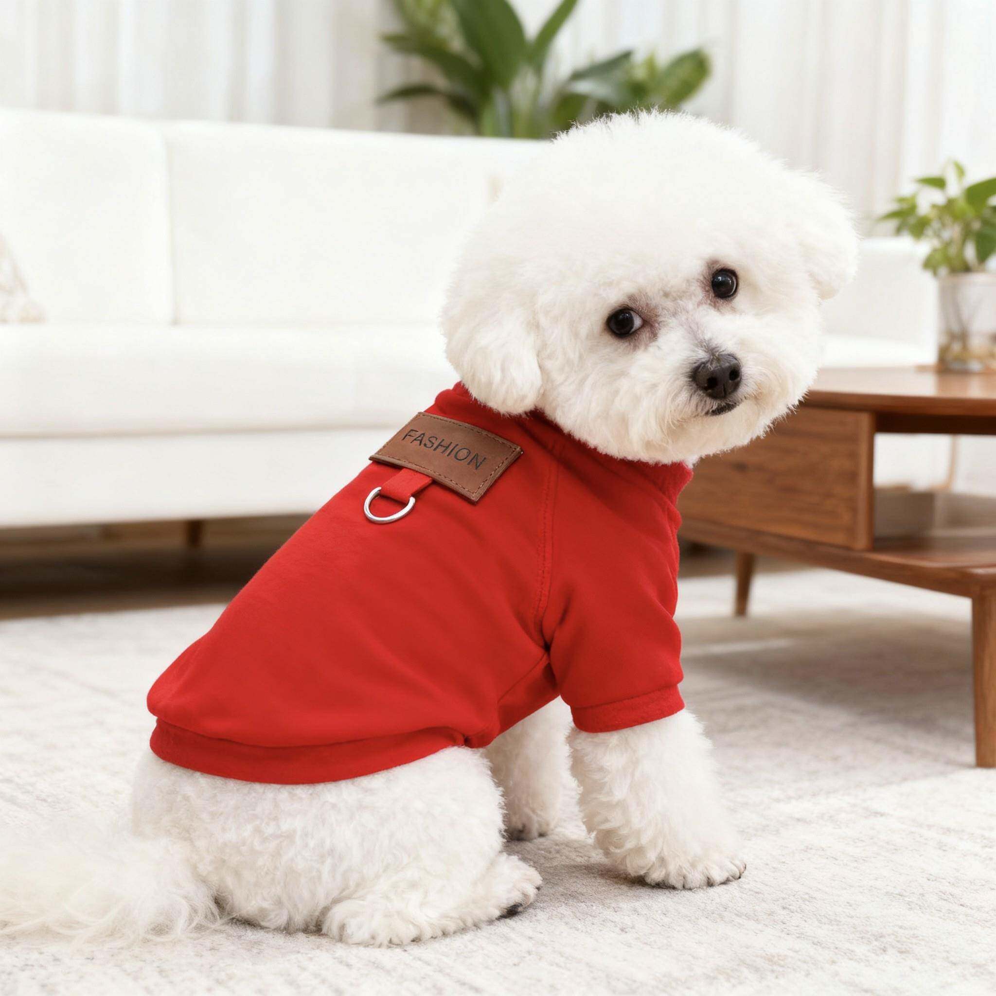 宠物狗狗冬秋季新型猫咪泰迪比熊法斗幼犬小犬可牵555款引保暖绒