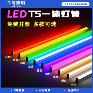 LED彩色灯管t5一体化红绿蓝紫黄光奢石氛围拍摄0.6米1.2米长条灯