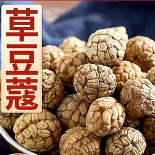 草蔻500克 中草寇仁草豆蔻草寇草扣非大老蔻粉卤料香料调料大料