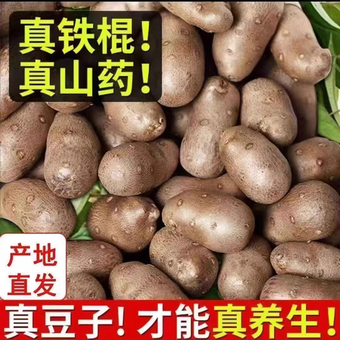 正宗铁棍山药豆农家现捡铁棍山药豆小白嘴当季农家整箱蔬菜直发