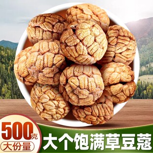 香料调料小草寇仁老寇草扣500g炖肉卤料香料调料大料煮可粉包邮