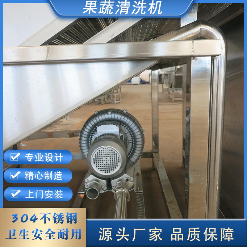 气泡清洗机洗菜机枇杷果洗果机全自动喷淋果蔬清洗机