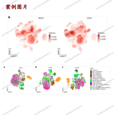 科研绘图｜生信｜单细胞转录组｜轨迹分析｜Monocle2｜Monocle3