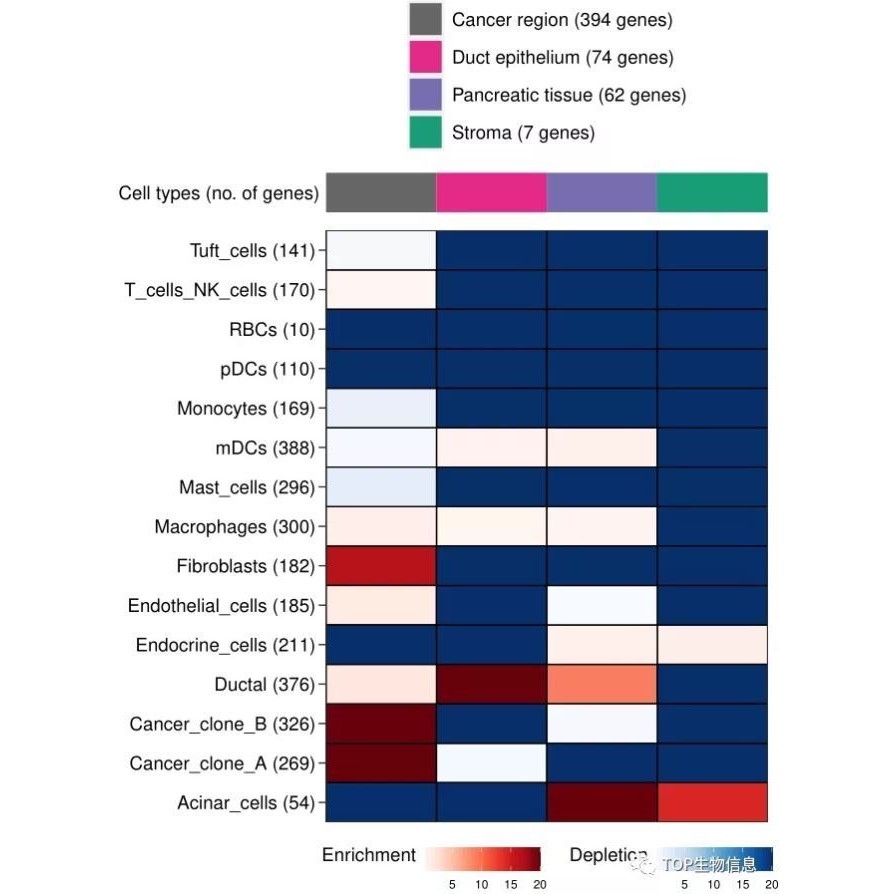 【空间转录组】MIA分析，评估空间region富集的细胞类型