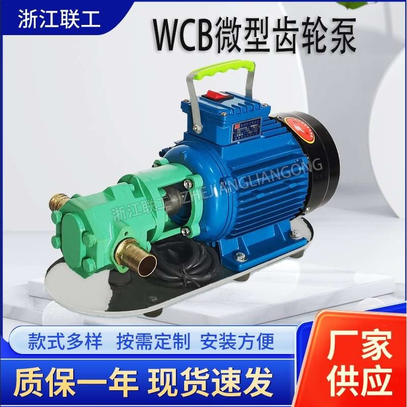 WCB微型齿轮油泵便携式手提油泵220V防爆家用齿轮油泵,农机/农具/农膜,割灌机/割草机/油锯,淘宝优惠券,粉丝福利购,淘宝优惠卷