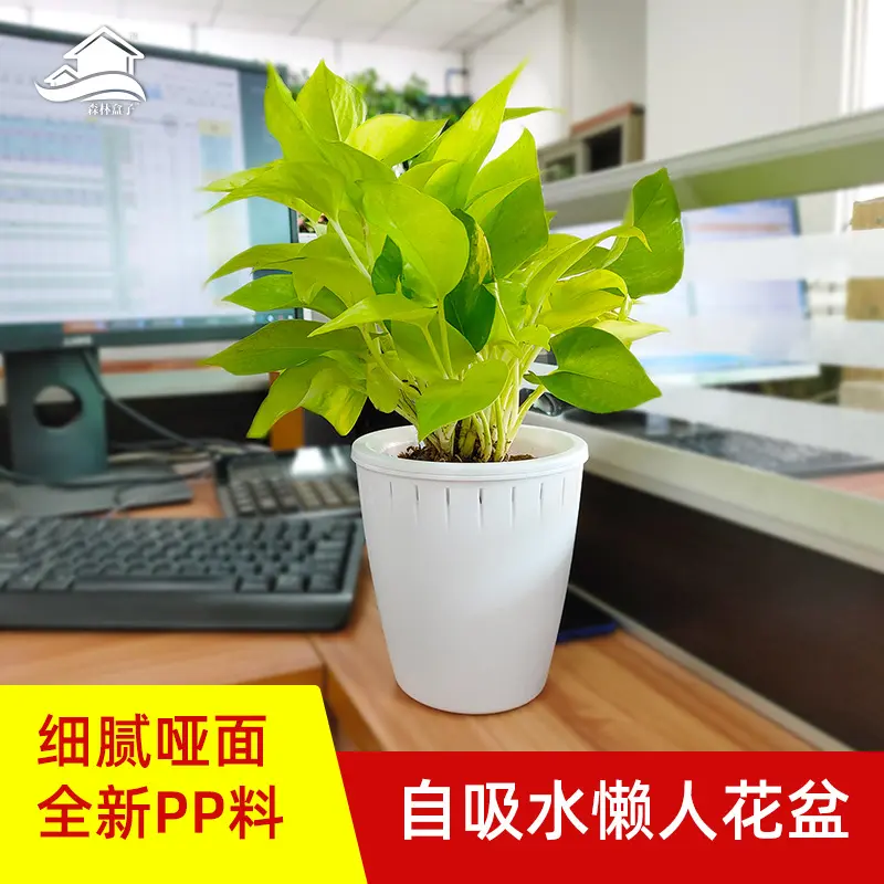 懒人花盆塑料高级感专用盆新款自吸水透气加仑盆树脂盆