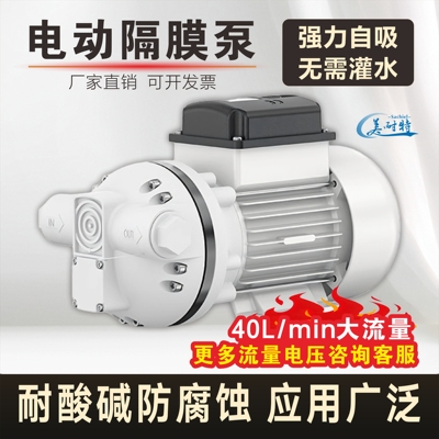 FL-550大流量耐酸碱自吸泵四氟耐腐蚀化工泵抽强酸碱液电动隔膜泵