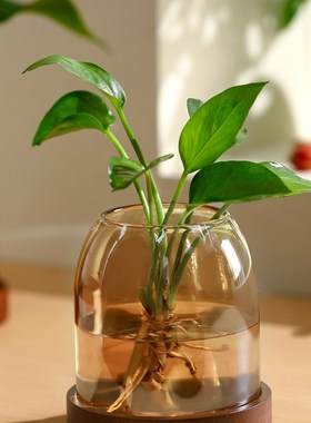 覆古玻璃小花瓶家用m电视柜水培插花器摆件办公室桌面精致绿植花