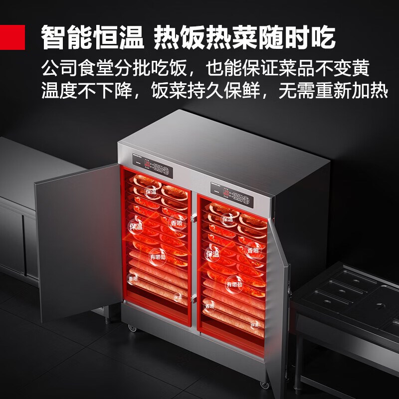 德玛仕双门蒸饭柜商用学校企业酒店食堂蒸包蒸箱24盘电蒸柜蒸饭车