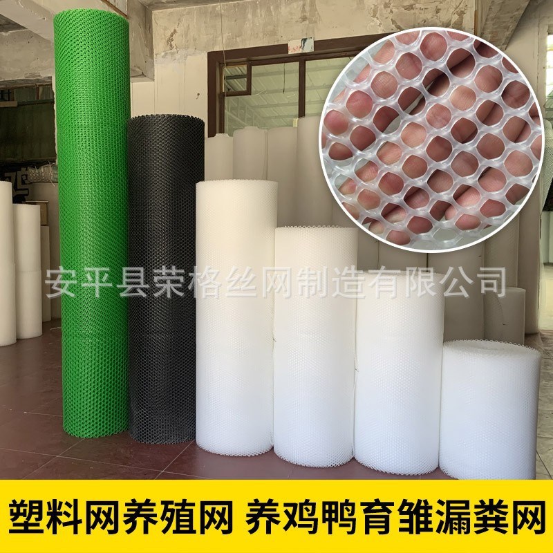 绿色塑料平网格防护养鸡围栏家禽养殖胶网小鸡鸭鹅苗垫网漏粪网片