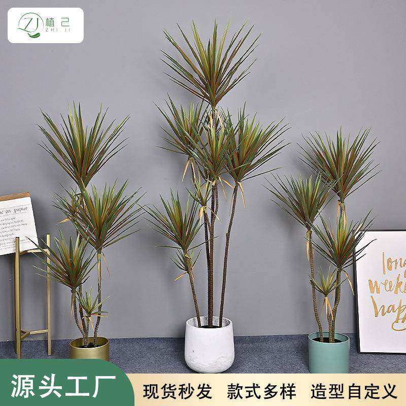 仿真龙血铁树绿植假树植物室内客厅橱窗造景装饰软胶手感龙血树