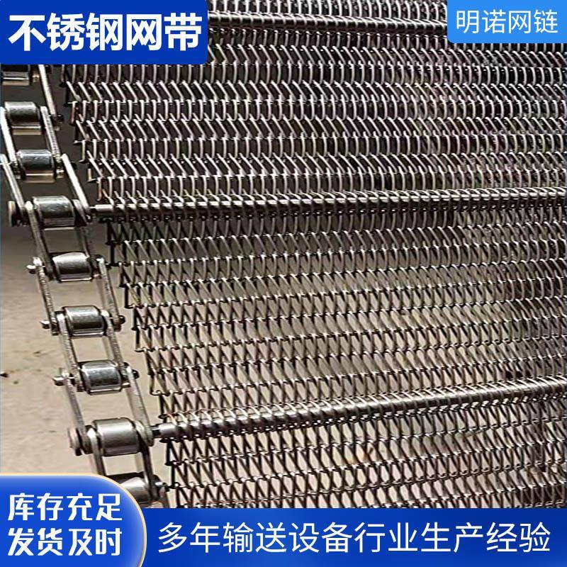 工程加工304不锈钢网带耐高温耐磨链条式网带烘干机清洗机网带