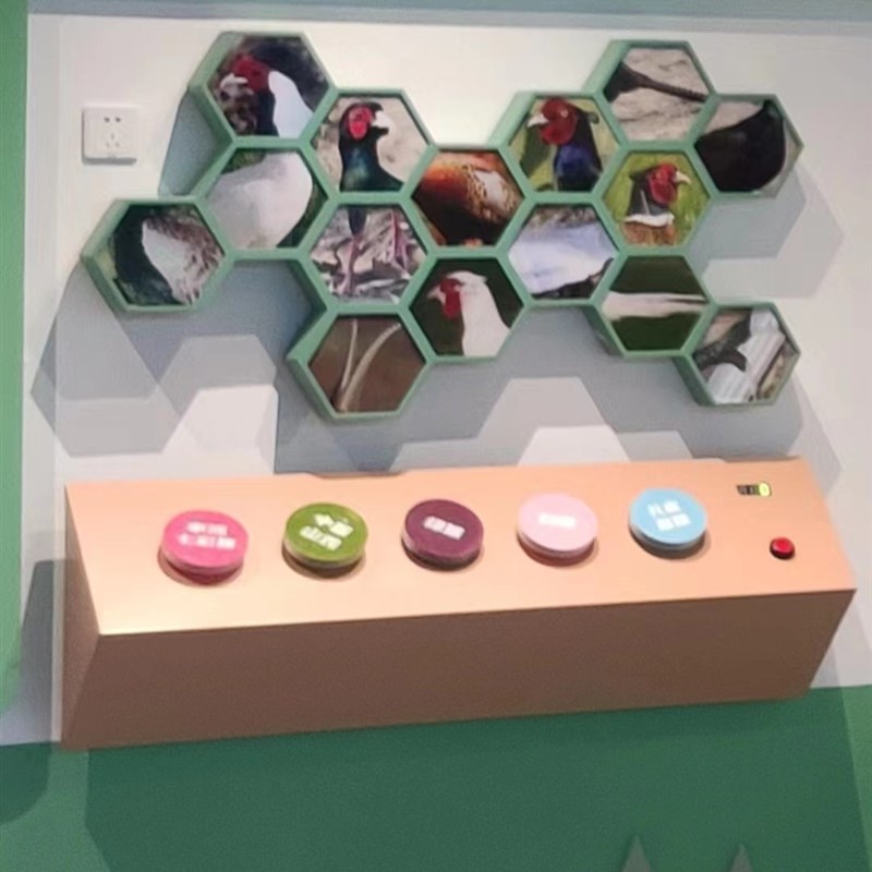 游戏垃圾分类食物分类科普活动装置展品答题互动互动知识道具抢答