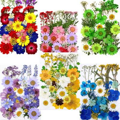 干花压花材料包 Pressed Flower组合包 押花真花 真树叶标本贴画