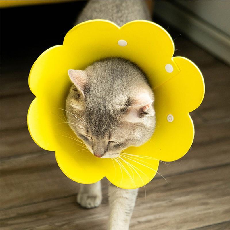 圈纺布宠物猫咪头套太阳花按扣脖圈防舔咬挠绝育耻辱圈