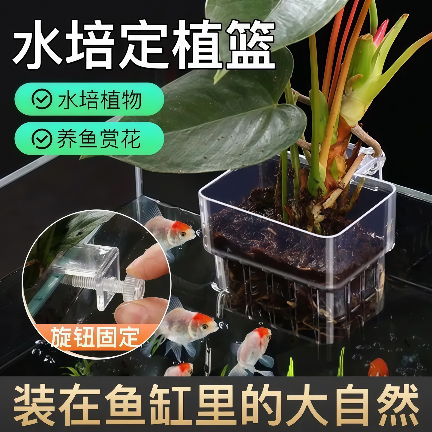 鱼缸水培架定植篮壁挂式